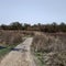 Road from crushed stone to a field with high dried grass