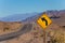 Road with curved arrow yellow sign, United States