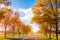 Road curves through autumn trees