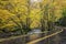 Road Curves Through Smoky Mountain Autumn Color
