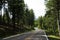 Road through Custer State Park South Dakota USA