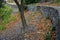 Road cut into the slope. above and below the road is a stone dry wall. nature trail through the autumn park with a drain and a met