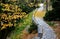 Road cut into the slope. above and below the road is a stone dry wall. nature trail through the autumn park with a drain and a met