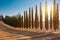 Road with cypresses in Tuscany on sunset, typical tuscanian landscape