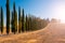 Road with cypresses in Tuscany on sunset, typical tuscanian landscape