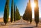 Road with cypresses in Tuscany on sunset, typical tuscanian landscape