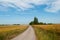 Road on the danish countryside on island of Mon