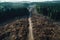 Road in Deforestated Land, Generative AI