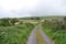 Road in Dingle, County Kerry, Ireland