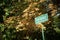 Road direction at Botanical Garden, Howrah
