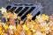 Road Drainage Metal Grill Drain Cover with Autumn Maple Leaves