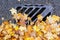 Road Drainage Metal Grill Drain Cover with Autumn Maple Leaves