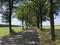 Road through the Drents-Friese Wold in Appelscha