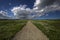 Road through Dutch landscape