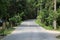 The road entering to a village.