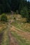 road in european mountain forest. Hiking trail in Carpathian Mountains, Ukraine. Tourist routes