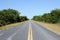 Road in the Everglades National Park