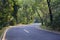 The road at Fairylake Botanical Garden