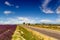 Road on the famous Valensole plateau in Provance, France