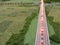 A road through farmland in miniature