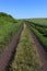 Road in a field