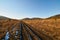 The road through the field, leaving into the forest.