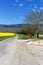 Road in a field with near mountain Jura