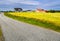 Road, field and rural house on the coast of ocean. Norway.