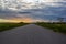 Road in the field at sunset. Summer field. Asphalt road. Summer landscape. Russian roads