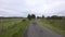 Road among fields in autumn in a rural landscape