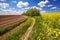 Road in the fields, rapeseed and ploughed land, agricultural background