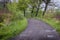 Road among fishing ponds in Poland