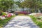 Road flanked by spring flowers in a garden