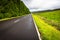 Road in Flores island, Azores, Portugal