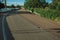 Road and flowered green trees