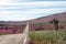 Road through the Flowering desert Atacama