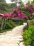 Road in flowering garden