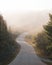 A road in fog, in Cutler, Maine