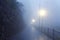Road in fog dawn