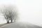 the road with fog in winter, beautiful view, snow and frost