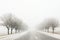 the road with fog in winter, beautiful view, snow and frost
