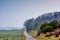 A road in a foggy atmosphere at a farm on a summer morning. The landscape of a dirt roadway near lush green plants