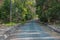 Road through the forest.