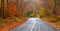 Road in the forest in autumn, fall colors