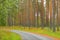 Road in forest in autumn during rain in Hameenlinna, Finland