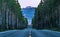 Road through forest leading to grand tetons