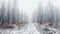 Road in a forest on a misty winter day. Trees in a snowy park after blizzard. Generative AI