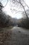 Road in a forest on a mountain on a cloudy day