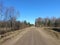 Road in forest in Siauliai county during sunny early spring day