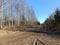 Road in forest in Siauliai county during sunny early spring day